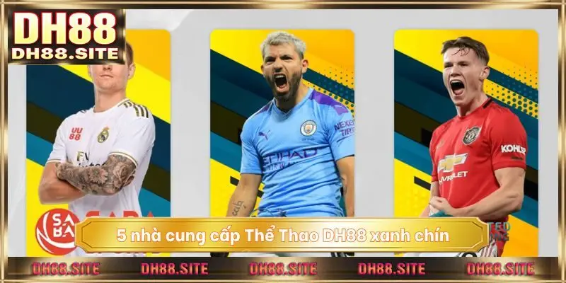 5 nhà cung cấp Thể Thao DH88 xanh chín